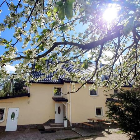 Gosciniec Jas -Sniadania I Obiadokolacje Szwedzki Stol W Cenie Bezplatny Parking Schreiberhau Exterior foto