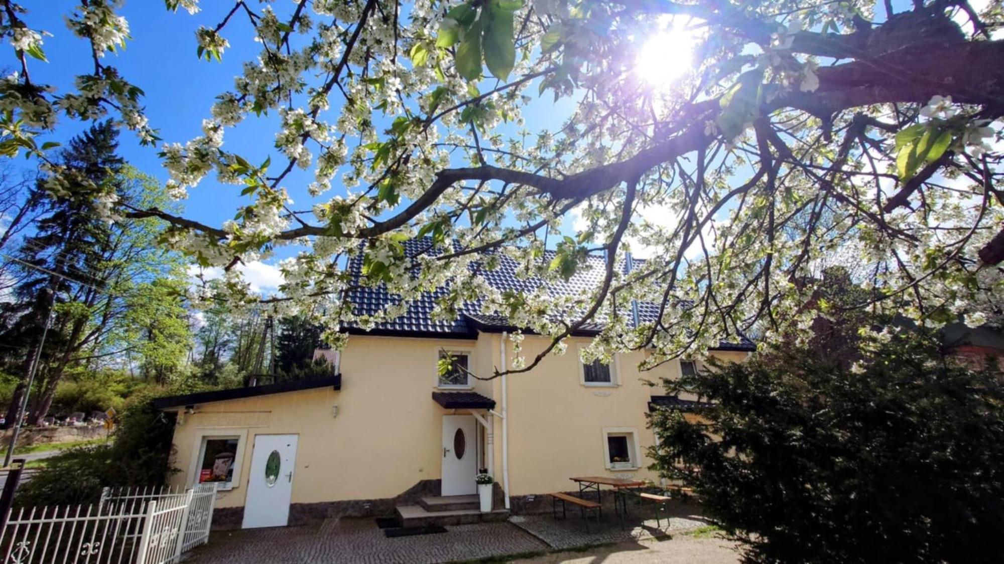 Gosciniec Jas -Sniadania I Obiadokolacje Szwedzki Stol W Cenie Bezplatny Parking Schreiberhau Exterior foto